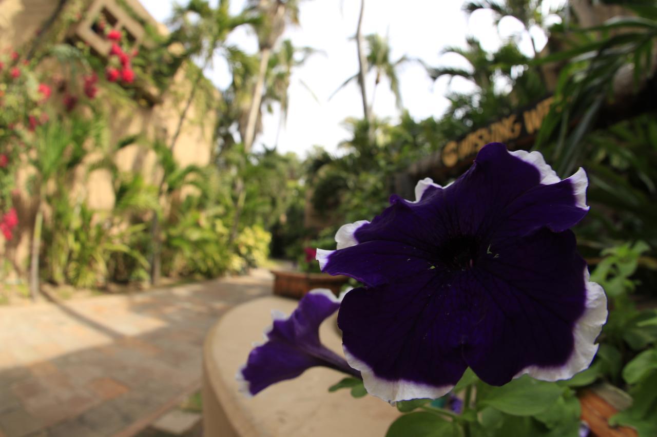Villas El Rancho Green Resort 마사틀란 외부 사진